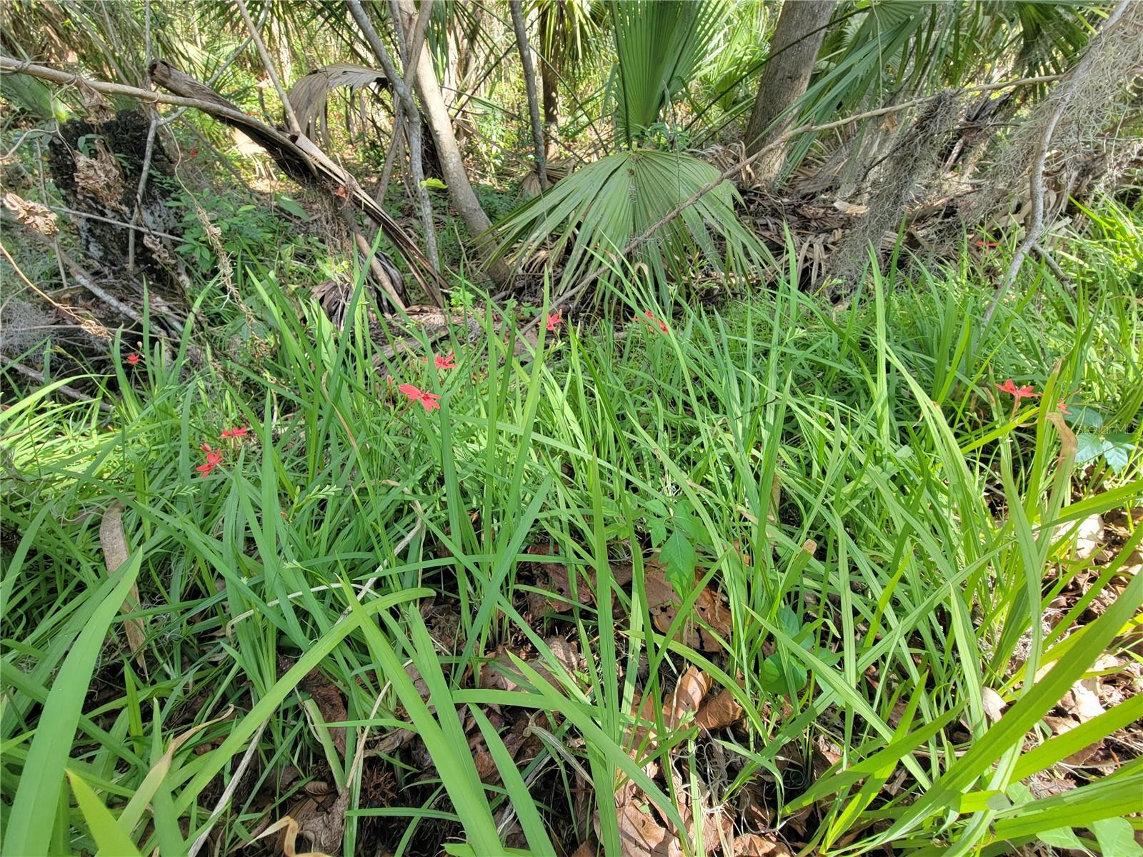 WALDO PLACE - Residential