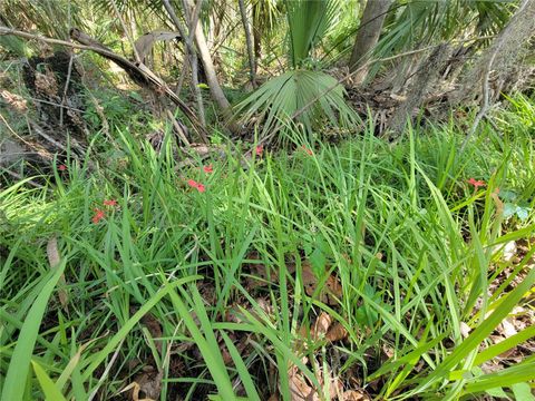 Tiny photo for 1600 SW 42nd Street, Ocala, FL 34471 (MLS # OM719627)