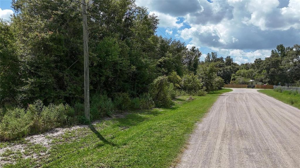 Photo of 12333 Farmettes Road, Lakeland, FL 33809 (MLS # TB8422803)