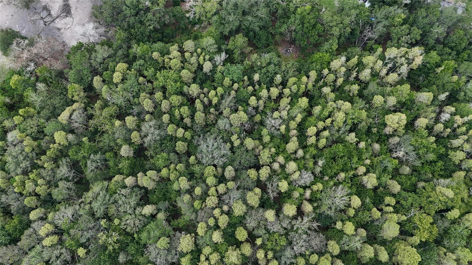 ROCKRIDGE FARMETTES PH 01 - Land