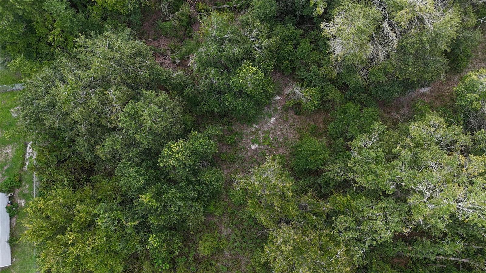 ROCKRIDGE FARMETTES PH 01 - Land