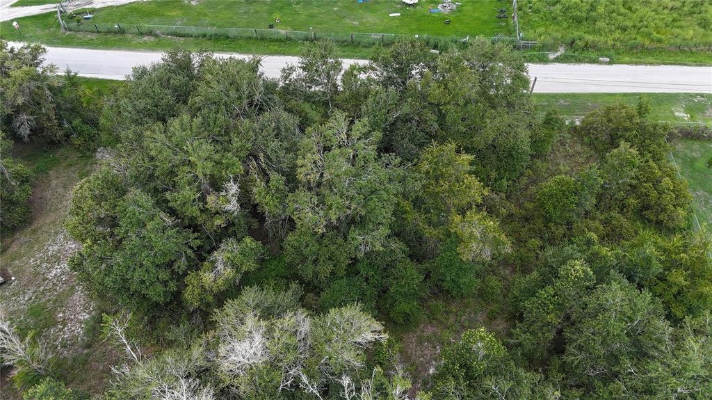 Photo of 12333 Farmettes Road, Lakeland, FL 33809 (MLS # TB8422803)