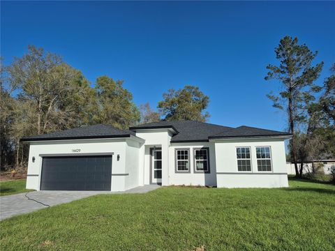 Photo of 16629 SW 21st Circle, Ocala, FL 34473 (MLS # O6394840)