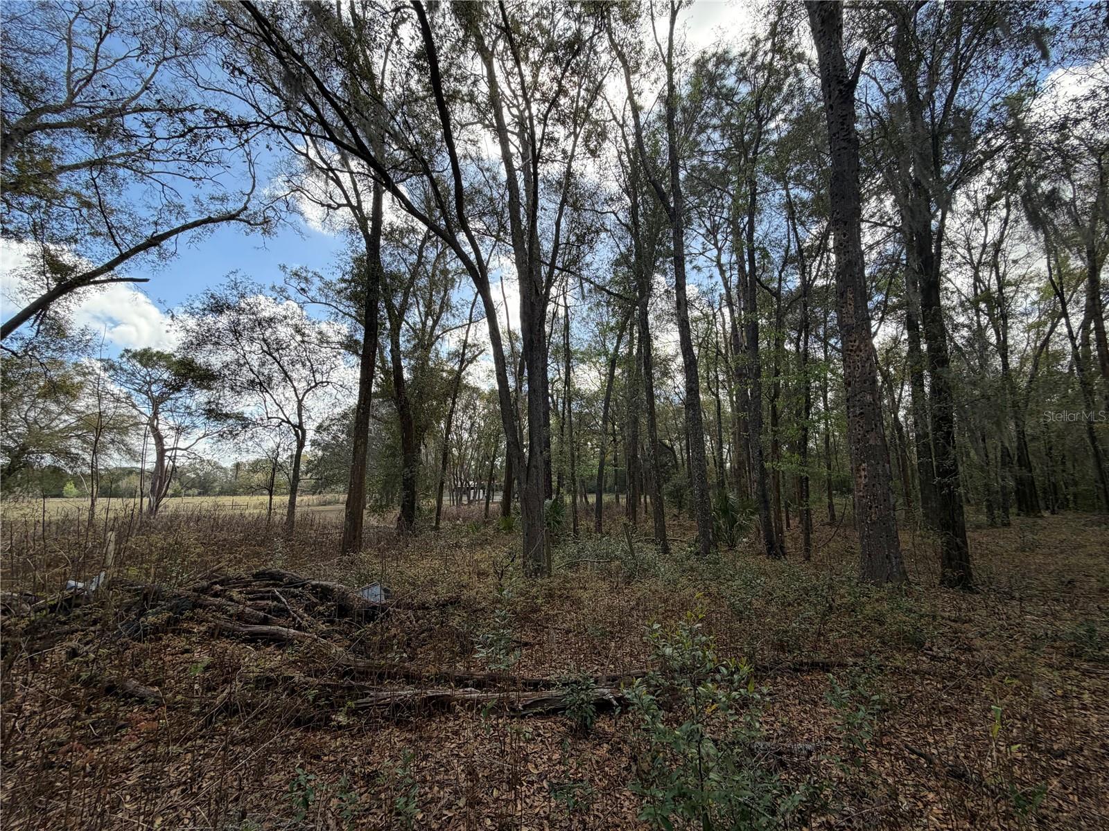 REEVES - Residential