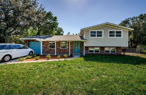 A home in BRANDON