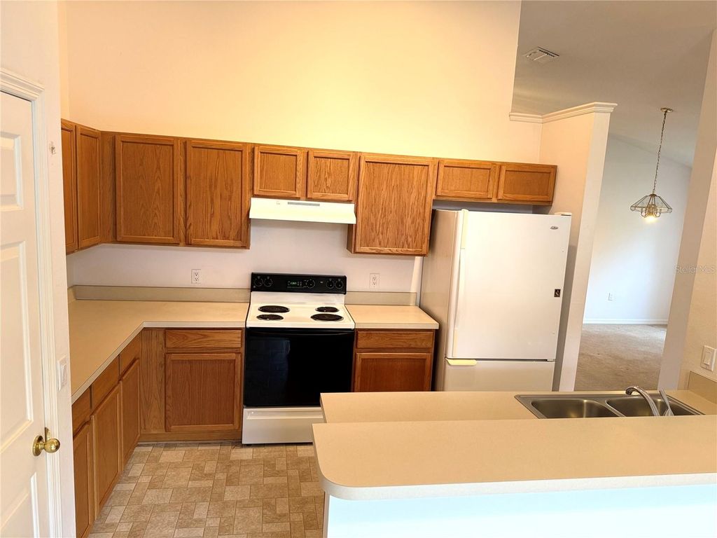 Photo of 7004 Jamestown Manor Drive, Riverview, FL 33578 (MLS # TB8424632)