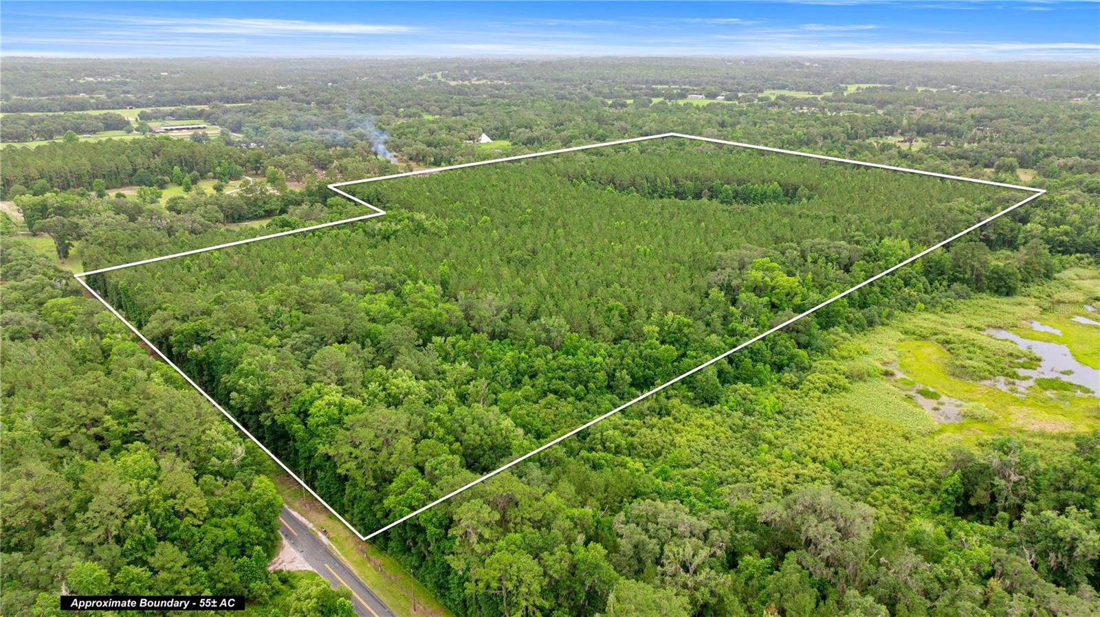 Located on a quiet county road with minimal traffic, this 55± acre tract sits in the heart of Marion County’s Farmland Preservation Area—perfectly positioned between Ocala and Williston. Surrounded by top-tier equestrian venues such as the World Equestrian Center (16mi), HITS Post-Time Farm (12mi), and Black Prong Equestrian Center (22mi), the location offers both tranquility and accessibility. The land features approximately 45± acres of merchantable timber, planted in 2006, with an average tree circumference of 31". The remaining acreage includes a mix of natural hardwoods and a seasonal pond, adding natural diversity to the property. Known for its fertile soils, this area supports excellent pastureland, ideal for livestock or continuing the growth of timber. Whether you're looking for a homesite, timber investment, recreational retreat, or farmland, this property offers versatility and long-term value in one of Florida's most desirable rural areas. *DO NOT RELY ON MAP LOCATIONS PROVIDED BY THRID PARTY SITES, CALL THE LISTING AGENT PIOR TO ALL SHOWINGS*