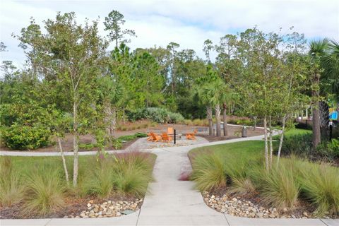 A home in LAND O LAKES