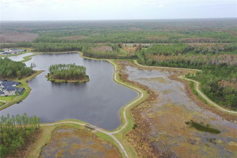 A home in LAND O LAKES