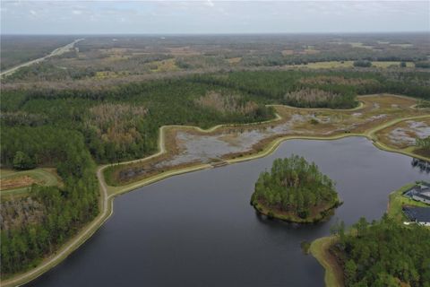 A home in LAND O LAKES