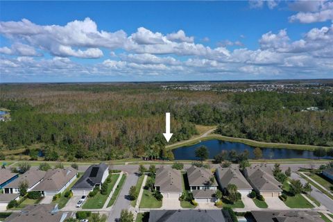 A home in LAND O LAKES