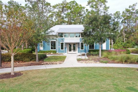 A home in LAND O LAKES