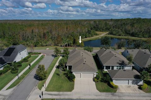 A home in LAND O LAKES