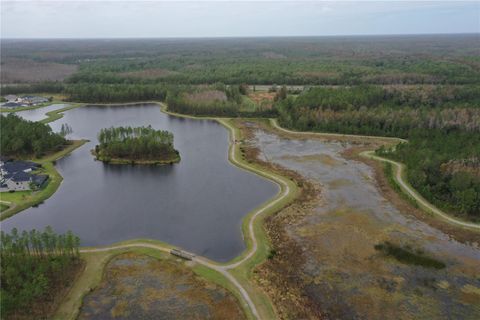 A home in LAND O LAKES