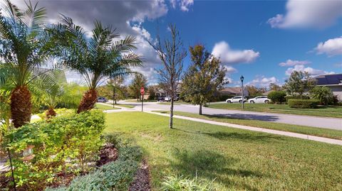 A home in LAND O LAKES