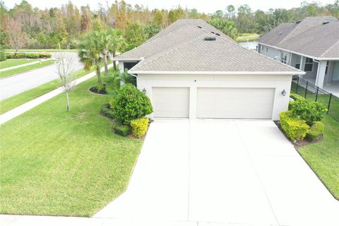 A home in LAND O LAKES