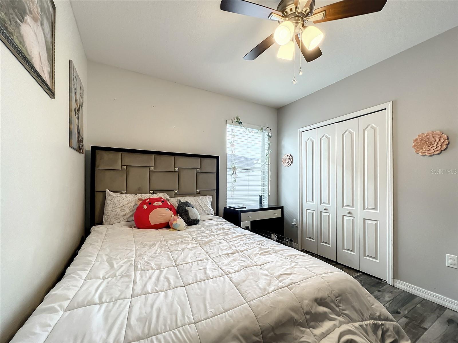RAINTREE AT SPRINGLAKE VILLAGE PH 2 - Residential