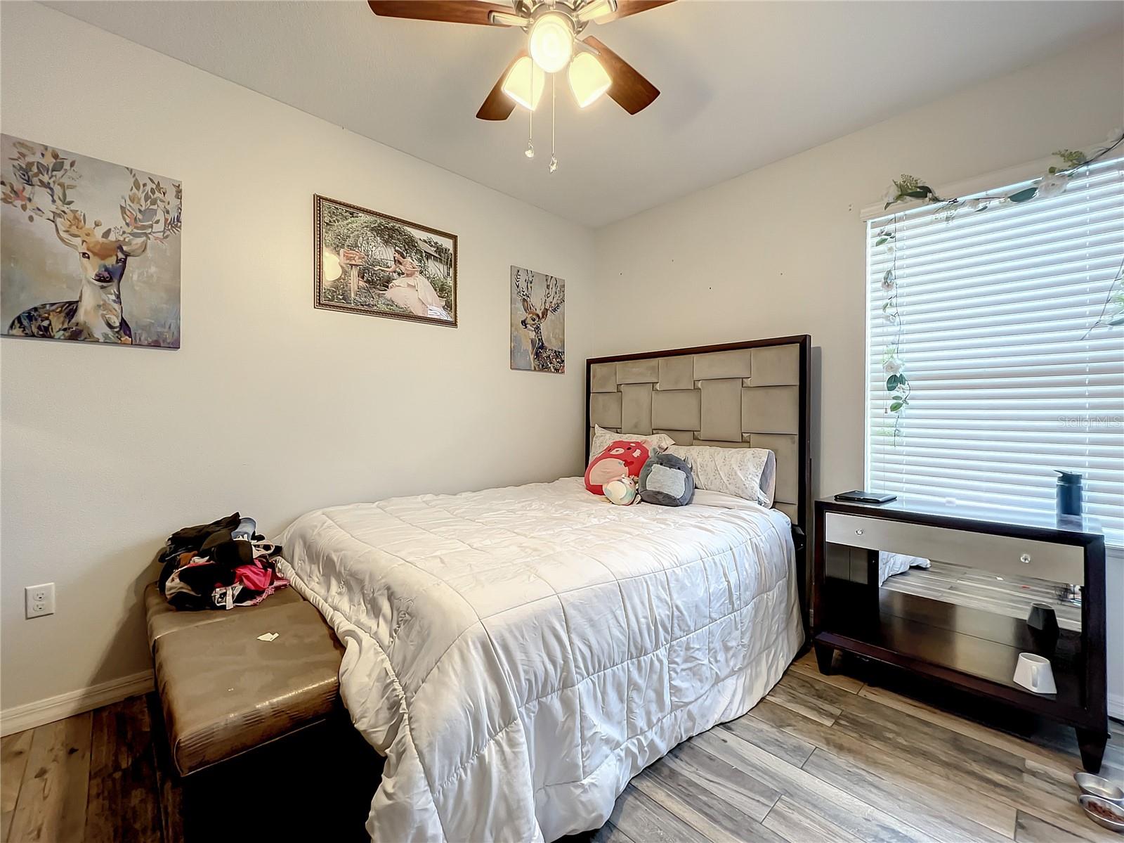 RAINTREE AT SPRINGLAKE VILLAGE PH 2 - Residential