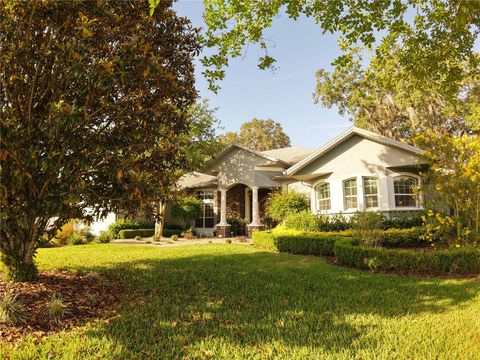 1802 HARTFORD PATH THE VILLAGES FL 32162