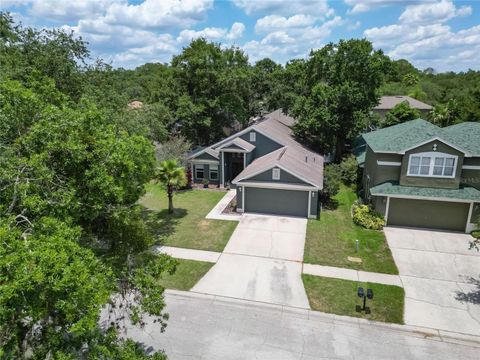 A home in LITHIA