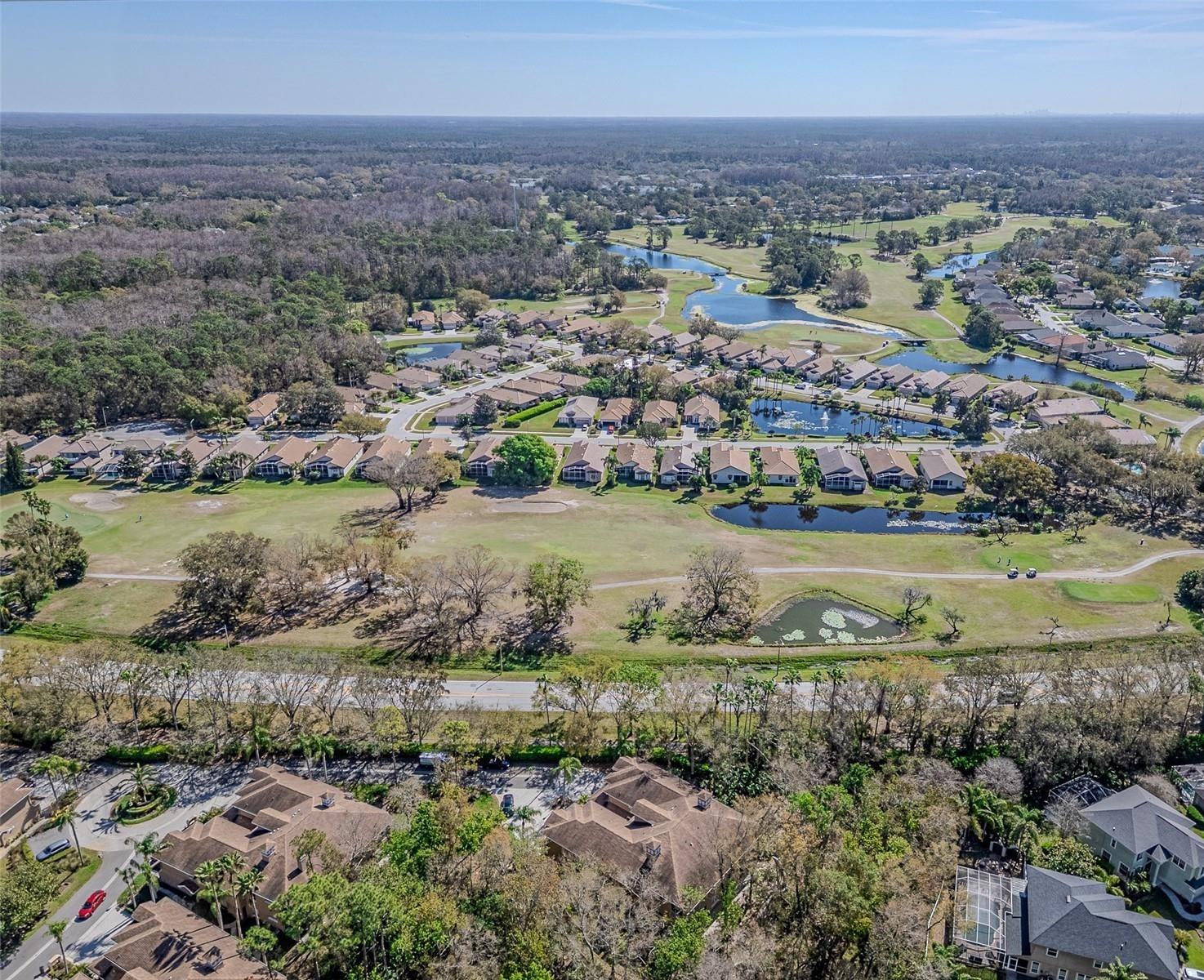 PRESERVE AT LANSBROOK CONDO THE - Residential