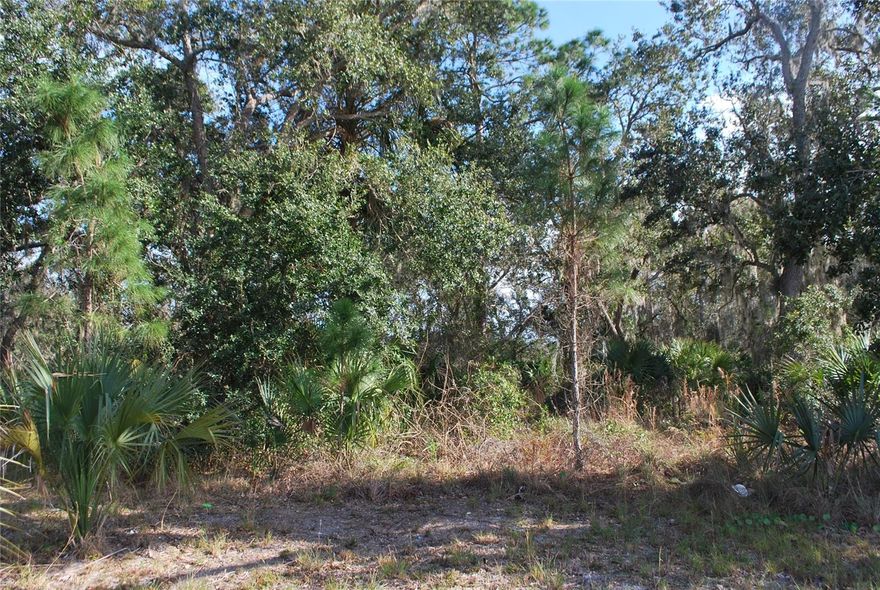 B4 ZONING IN THE CITY OF EDGEWATER. SITUATED IMMEDIATELY SOUTH OF EAST WIND SUBDIVISION. GREAT OPPORTUNITY FOR YOU BUSINESS TO BUILD.  332 FRONT FEET ON U.S. #1. PLAT OF BOUNDARY & TOPOGRAPHIC SURVEY AVAIL FROM 3/1990.