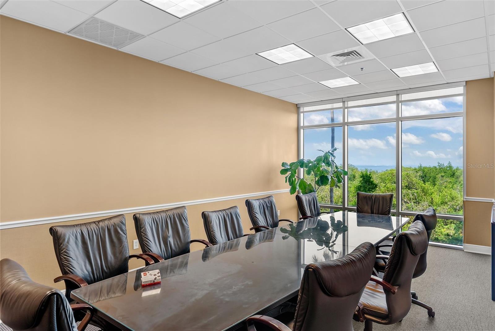 5550 W EXECUTIVE DRIVE 250