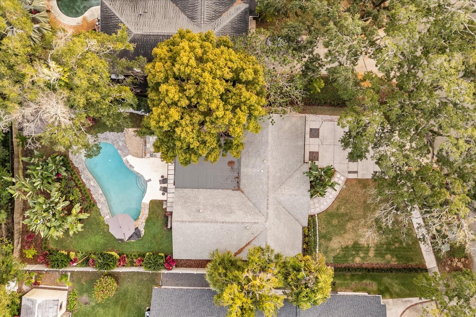 WINTER PARK HEIGHTS - Residential