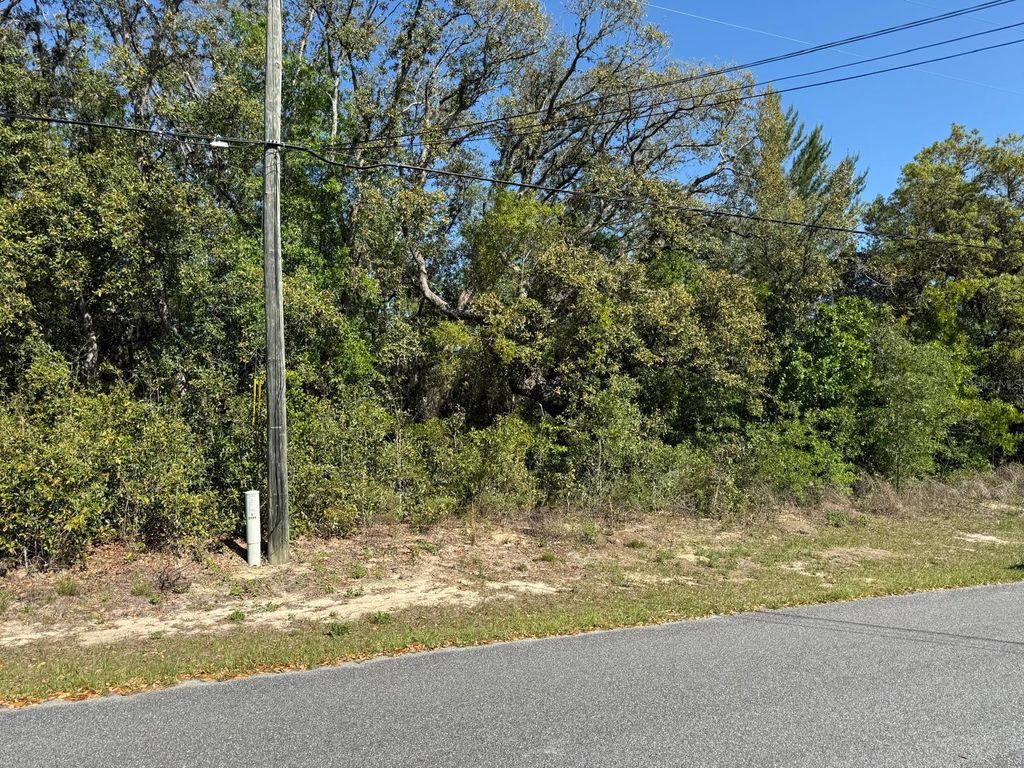 Photo of 2803 W Manitoba Place, Citrus Springs, FL 34433 (MLS # O6370947)