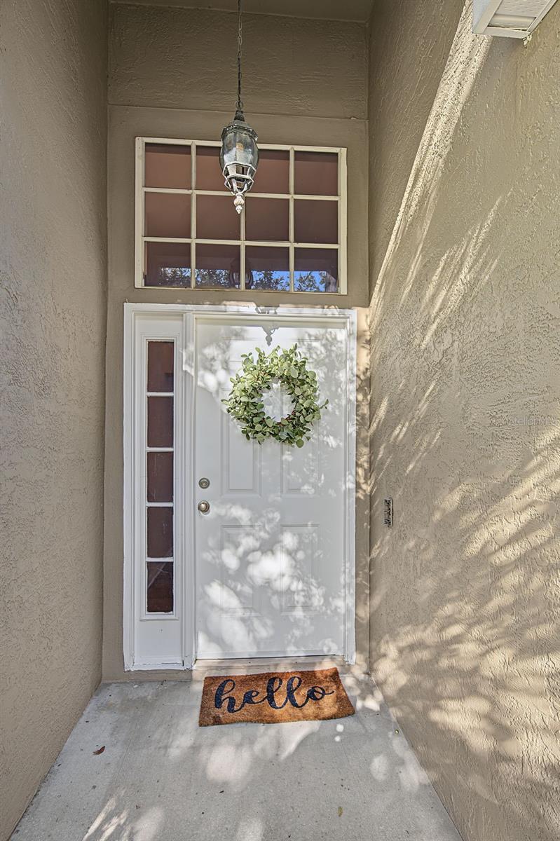 Photo of 29947 Morningmist Drive, Wesley Chapel, FL 33543 (MLS # TB8560550)