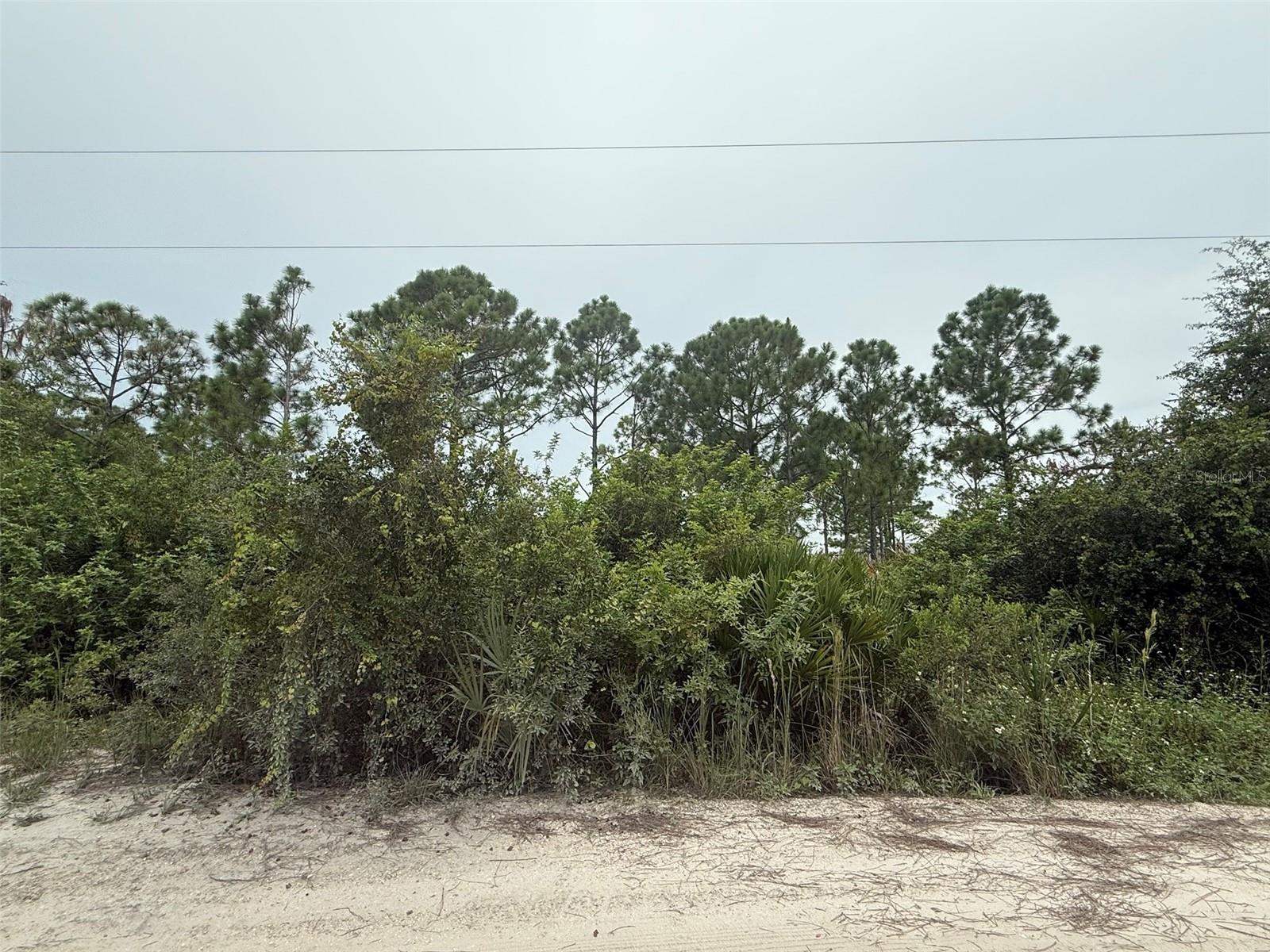 Build your dream home on this spacious 1.25-acre high and dry residential lot in the desirable Charlotte Ranchettes. This property offers plenty of room for a custom home, pool, horses, or even a workshop, with easy access to I-75, US-41, downtown Punta Gorda, and the Gulf beaches. Enjoy the peace and privacy of country living while still being just minutes from shopping, dining, and entertainment. With no HOA or deed restrictions, you have the freedom to bring your RV, boat, and more. Invest now for the future or hold and build later—opportunities like this are becoming harder to find.