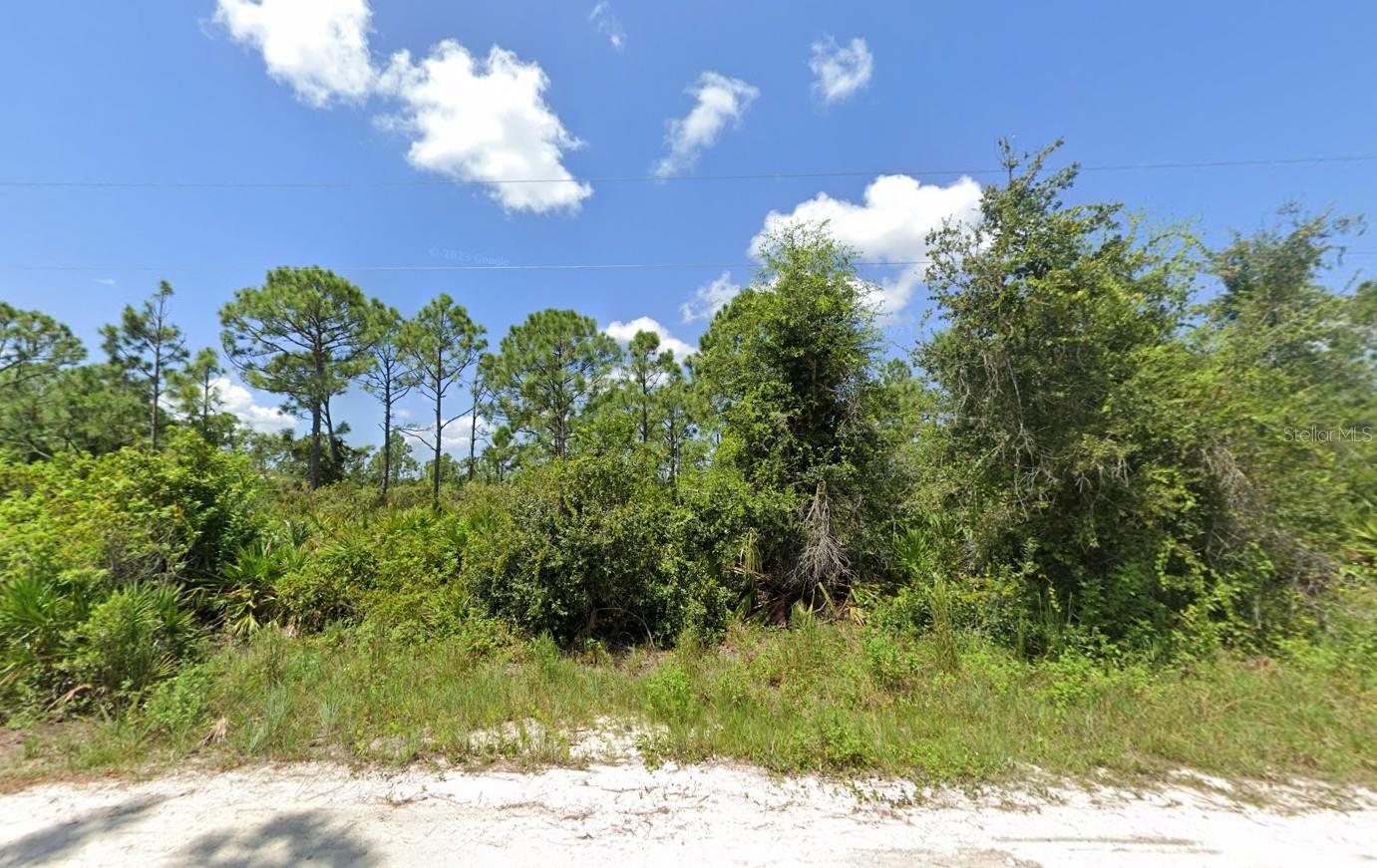 Build your dream home on this spacious 1.25-acre high and dry residential lot in the desirable Charlotte Ranchettes. This property offers plenty of room for a custom home, pool, horses, or even a workshop, with easy access to I-75, US-41, downtown Punta Gorda, and the Gulf beaches. Enjoy the peace and privacy of country living while still being just minutes from shopping, dining, and entertainment. With no HOA or deed restrictions, you have the freedom to bring your RV, boat, and more. Invest now for the future or hold and build later—opportunities like this are becoming harder to find.