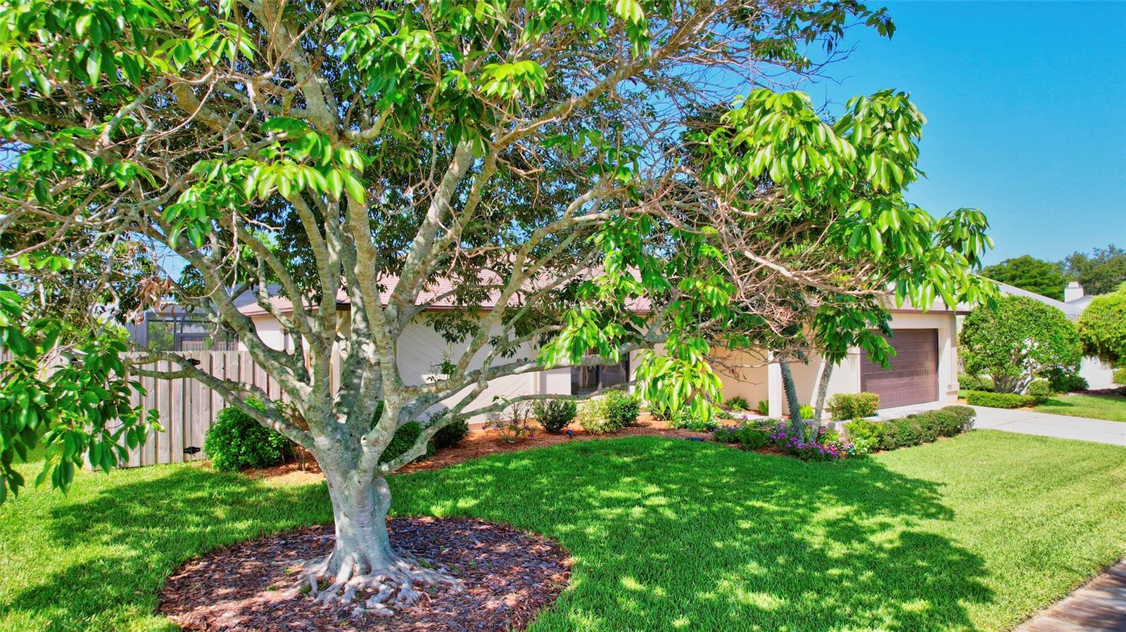 GULF GATE EAST - Residential