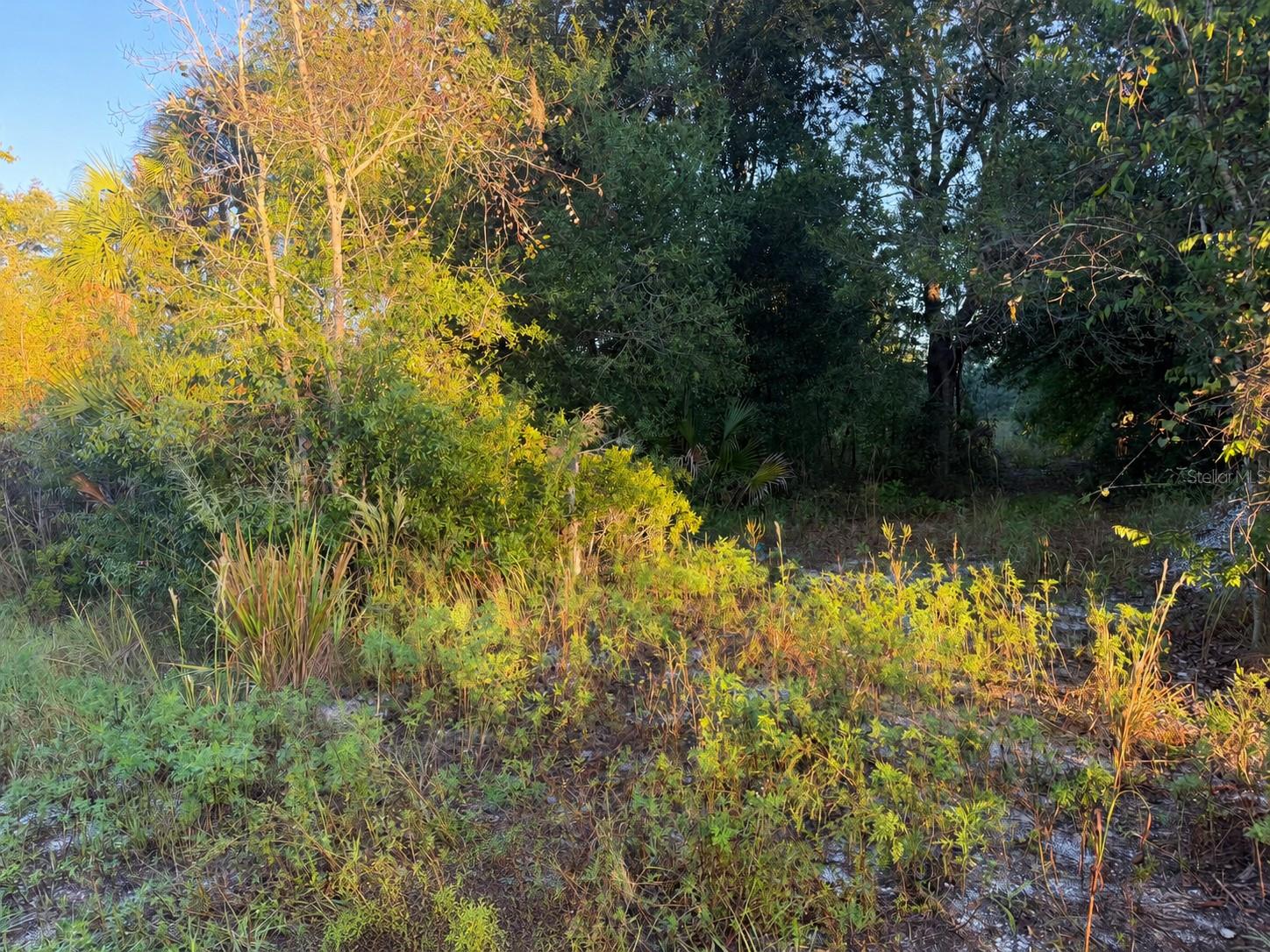 19835 NW 298TH STREET