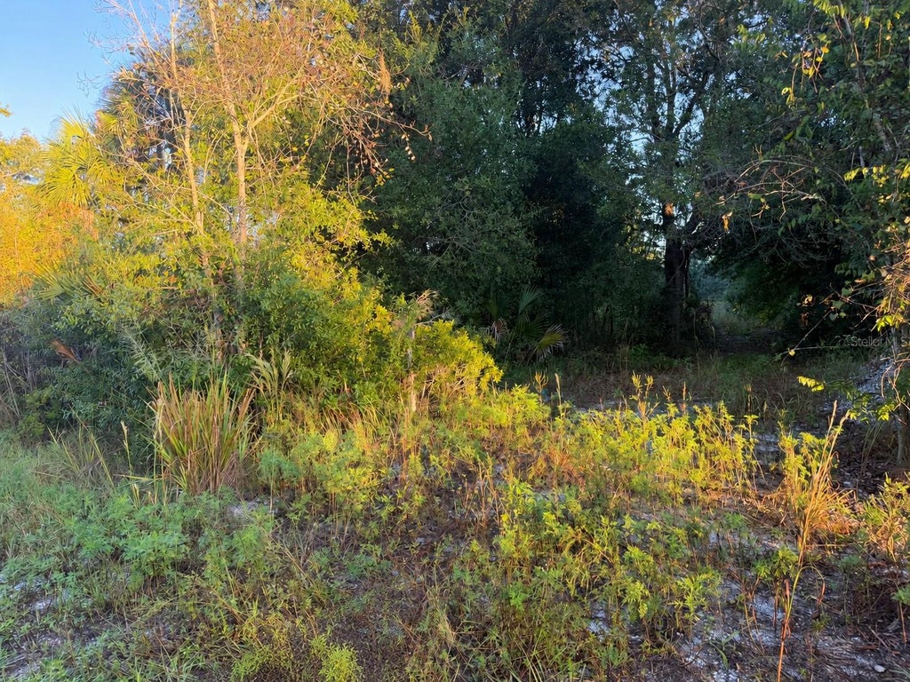 Photo of 19835 NW 298th Street, Okeechobee, FL 34972 (MLS # C7532463)