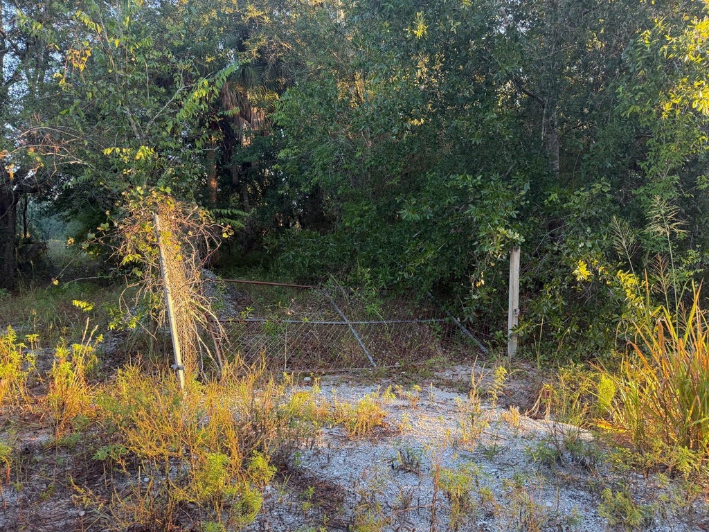 Photo of 19835 NW 298th Street, Okeechobee, FL 34972 (MLS # C7532463)