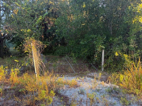 Photo of 19835 NW 298th Street, Okeechobee, FL 34972 (MLS # C7532463)