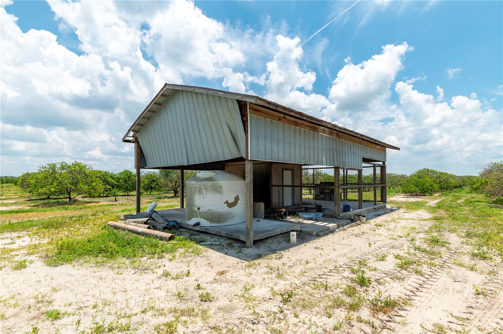 WATERBURY GRAPEFRUIT 59 - Land