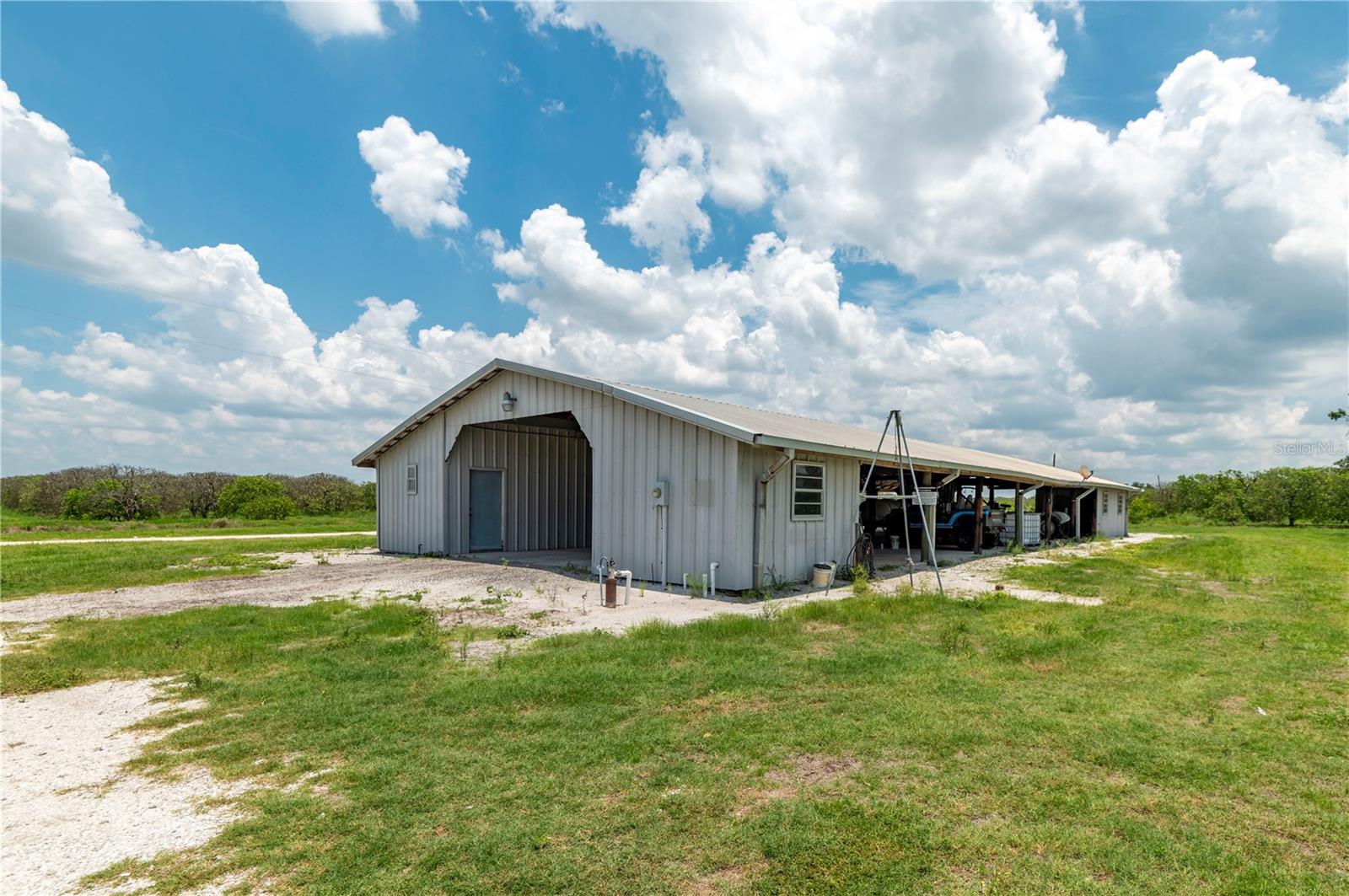 WATERBURY GRAPEFRUIT 59 - Land