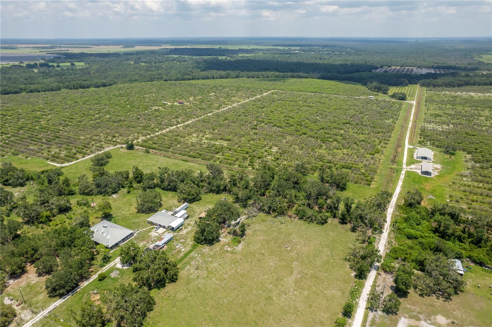 WATERBURY GRAPEFRUIT 59 - Land