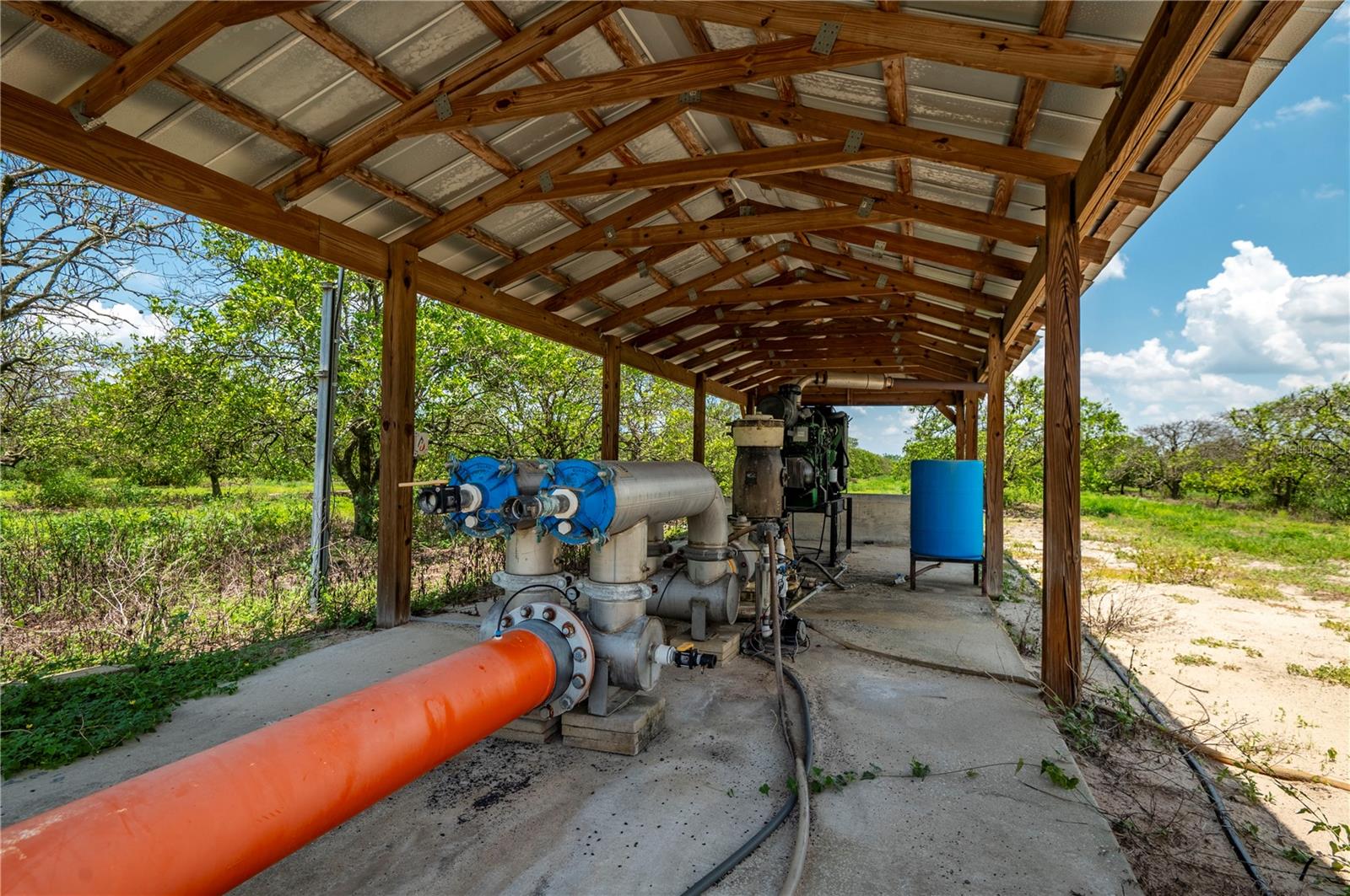 WATERBURY GRAPEFRUIT 59 - Land