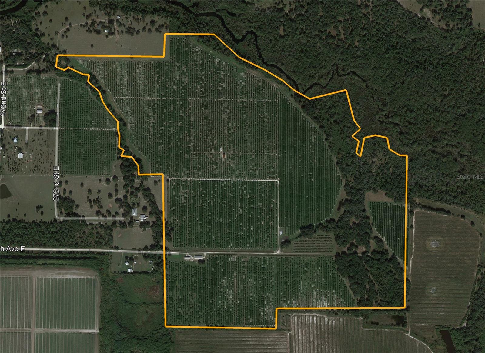 WATERBURY GRAPEFRUIT 59 - Land