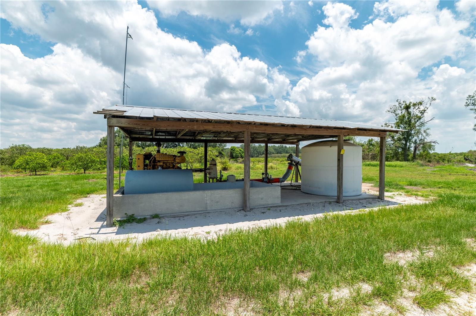 WATERBURY GRAPEFRUIT 59 - Land