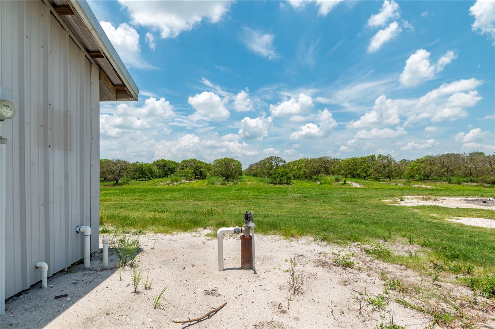 WATERBURY GRAPEFRUIT 59 - Land