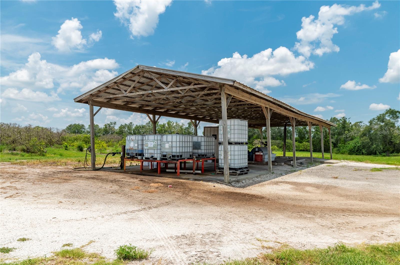 WATERBURY GRAPEFRUIT 59 - Land