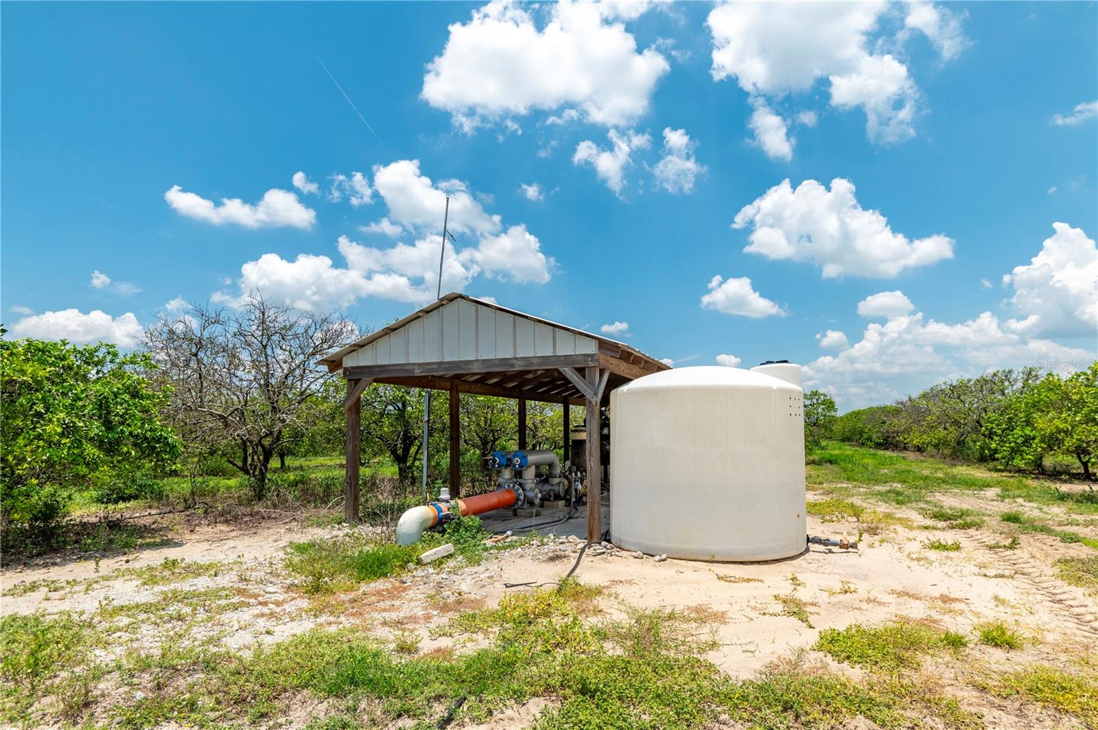 WATERBURY GRAPEFRUIT 59 - Land