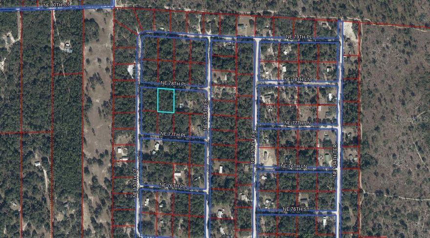1 ACRE BUILDING LOT IN BRONSON, FL with OWNER FINANCING! Discover the potential of this peaceful North–South Estates parcel in Bronson, offering a prime opportunity to own vacant land in the heart of Levy County. This property features a desirable orientation for optimal sunlight and natural breezes, with nearby neighboring homes indicating electric access close by—helping simplify your future build. Surrounded by Florida’s natural beauty, this parcel provides the perfect blend of privacy and accessibility, ideal for a site-built or manufactured home or investment hold. Enjoy quiet country living with convenient access to nearby towns, while still being just a short drive to the Gulf Coast, Gainesville, and Ocala. Whether you’re looking to build now or buy and hold, this is a competitively priced opportunity in a growing area.