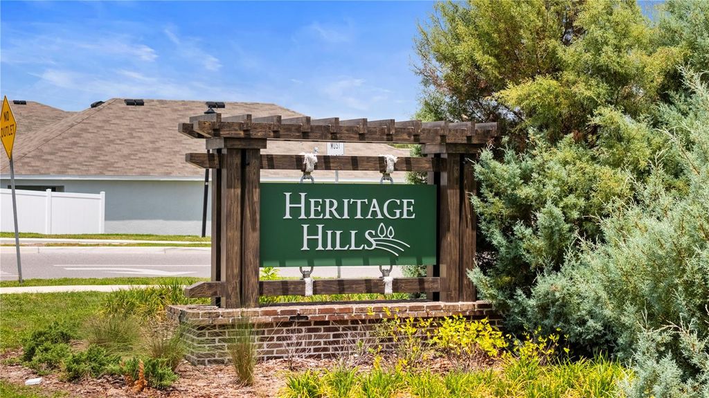 Photo of 13727 Whiskey Daisy Drive, Dade City, FL 33525 (MLS # TB8388468)