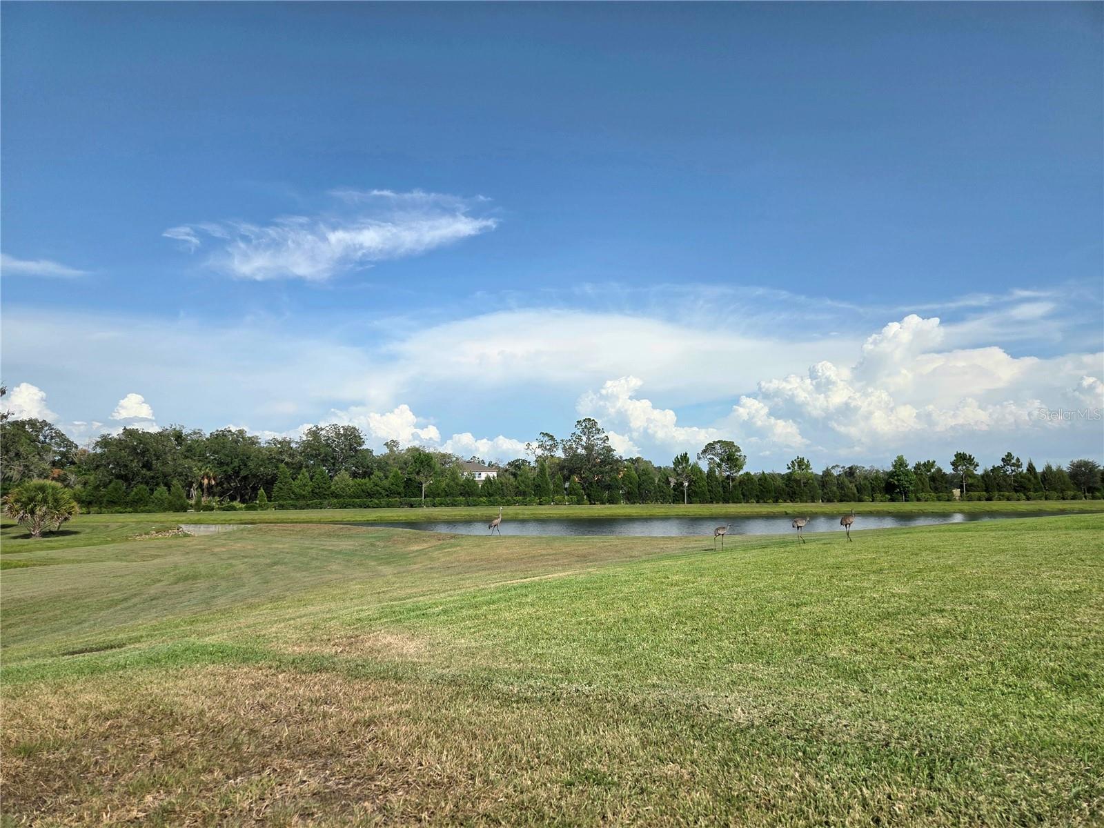 6324 165TH DRIVE E, PARRISH, FL, 34219 4 6324 165TH DRIVE E