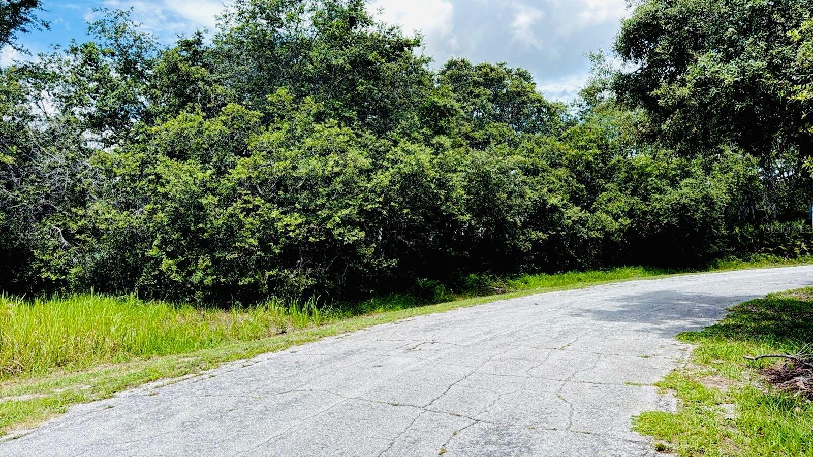 Discover a rare opportunity to own 0.23 acres of vacant land in the renowned Poinciana Villages of Kissimmee,
FL—an ideal canvas for your dream single-family home! Generous 0.23-acre parcel (9,853 sqft.), perfectly sized for
a spacious single-family residence with room for a yard, pool, or patio.
Located within the master-planned Poinciana Villages (part of the 47,000-acre Poinciana community)—valued for its
family-friendly atmosphere, recreation options, and vibrant residential vibe
Situated in a single-family-zoned enclave, prime for new construction with public water and sewer readily
available.